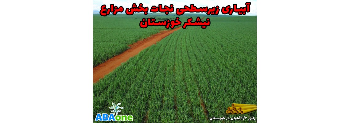 آبیاری زیرسطحی نجات بخش مزارع نیشکر خوزستان