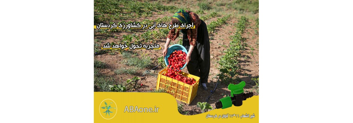اجرای طرح‌های آبی در کشاورزی کردستان منجر به تحول خواهد شد